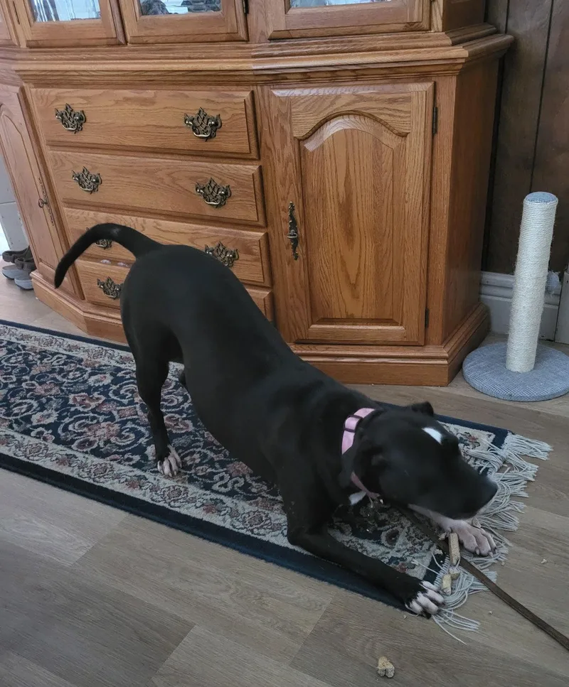 Sweet Rosie thumbnail 3