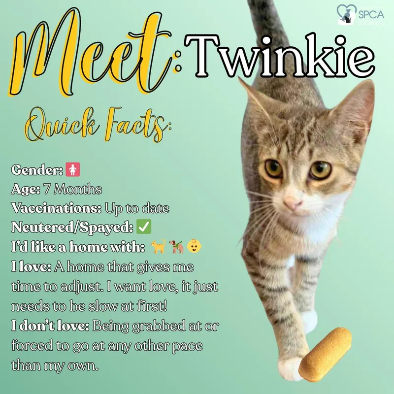 Twinkie