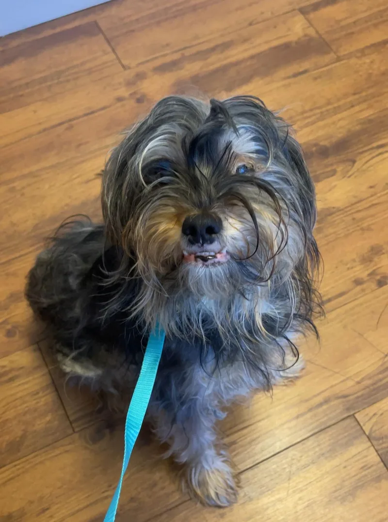 Charlie  Sweet  thumbnail 3