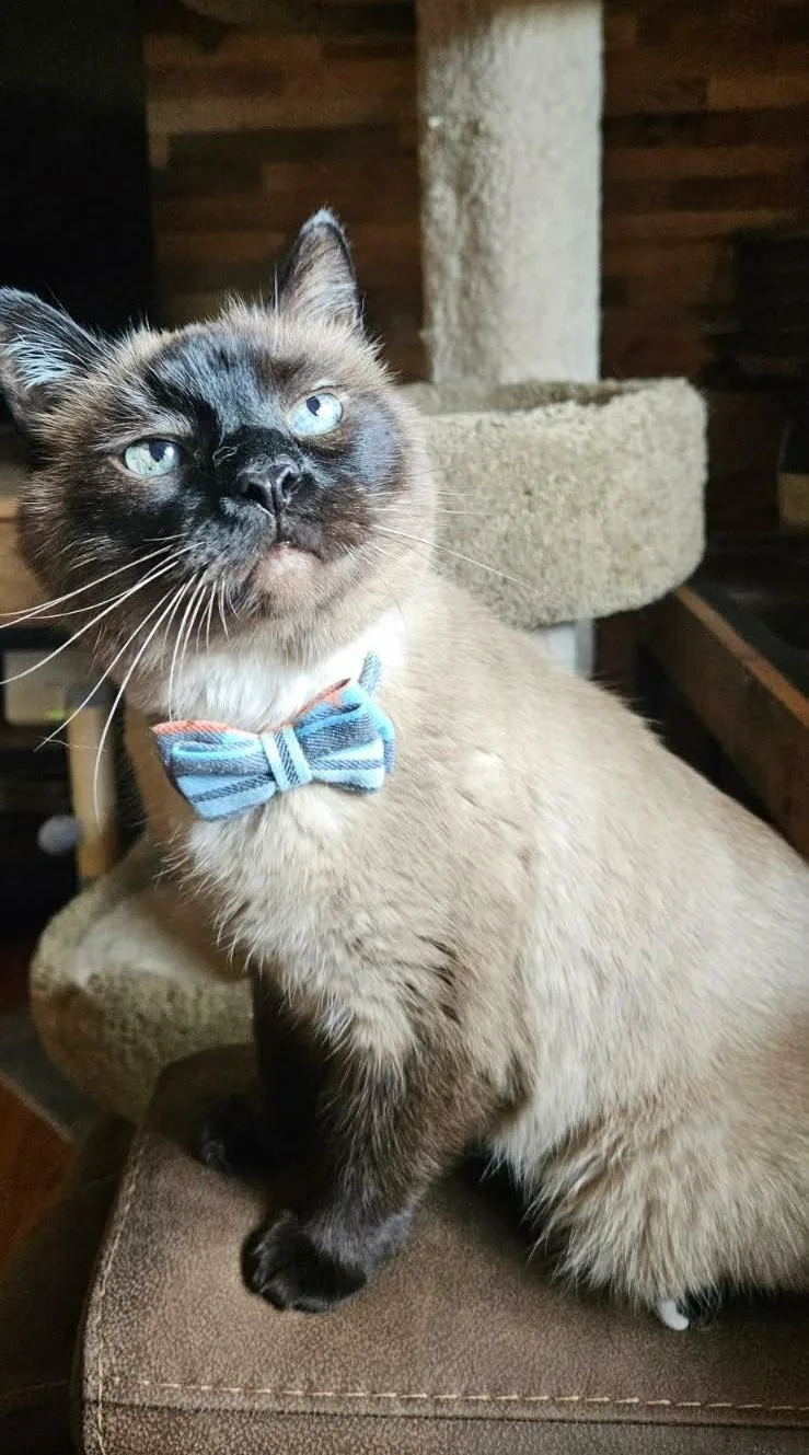 Sam