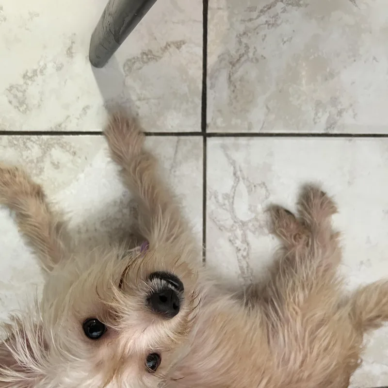 Mateo thumbnail 2