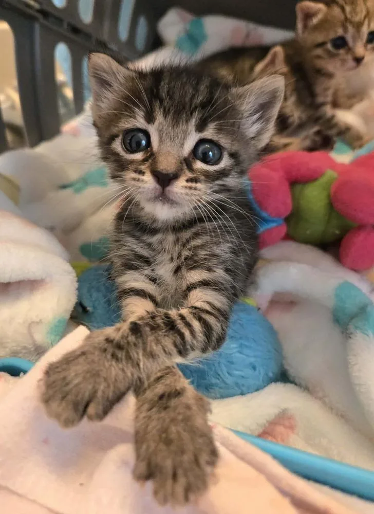 Marcy Mae