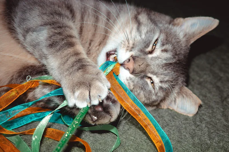 Larry Gene thumbnail 2