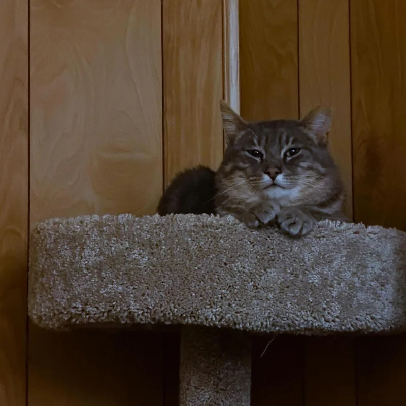 Larry Gene thumbnail 3