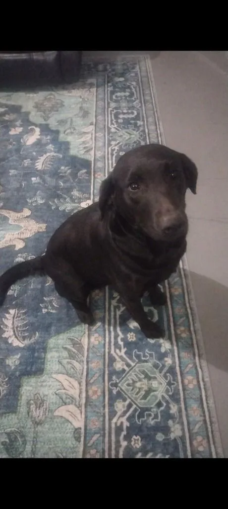 Sadie Mae thumbnail 5