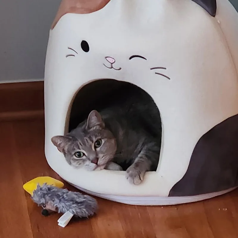 Lime Margarita thumbnail 4