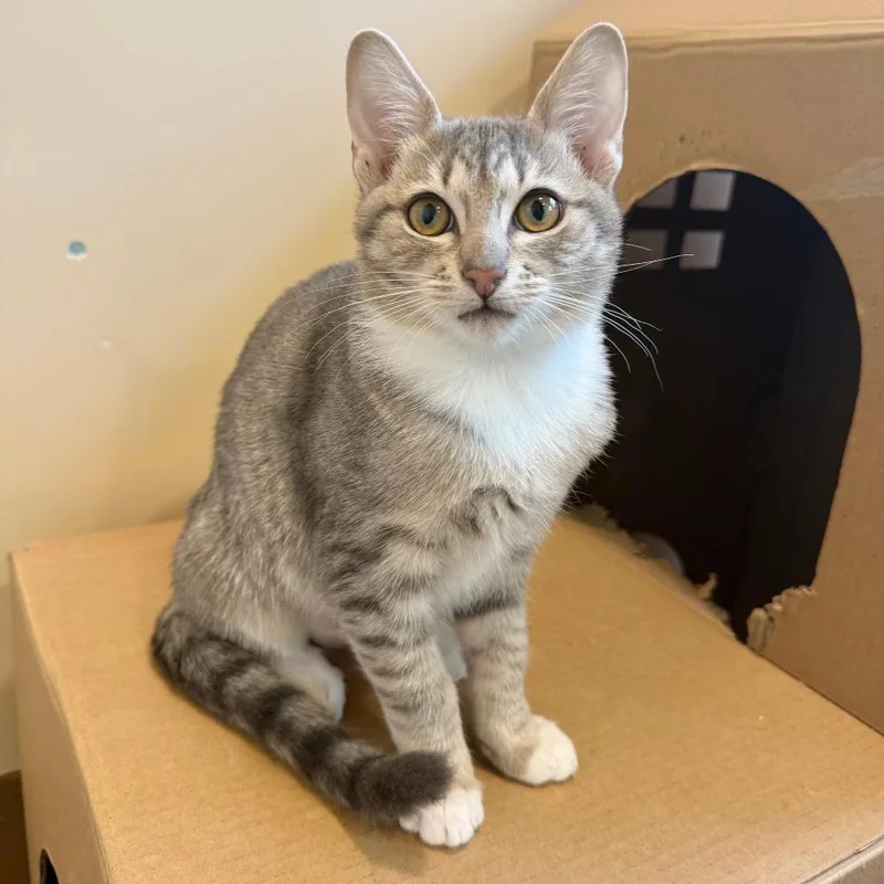 Florence thumbnail 3