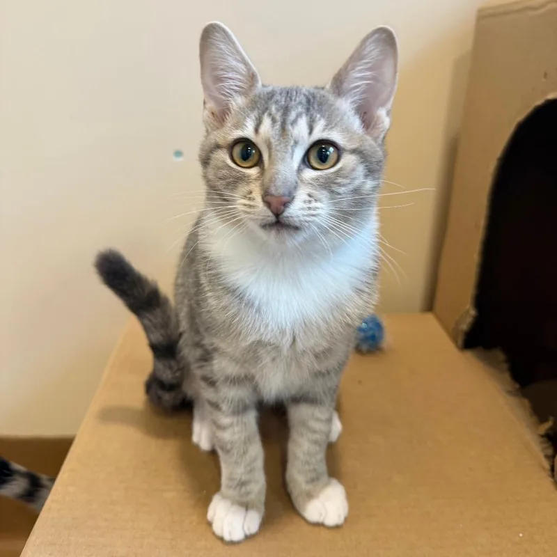 Florence thumbnail 5