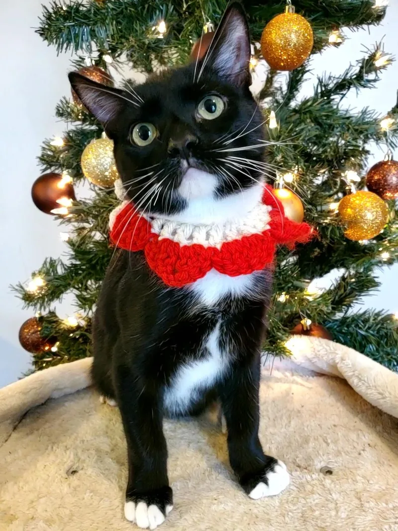 El Chichón thumbnail 4