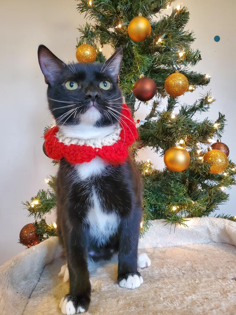 El Chichón thumbnail 5