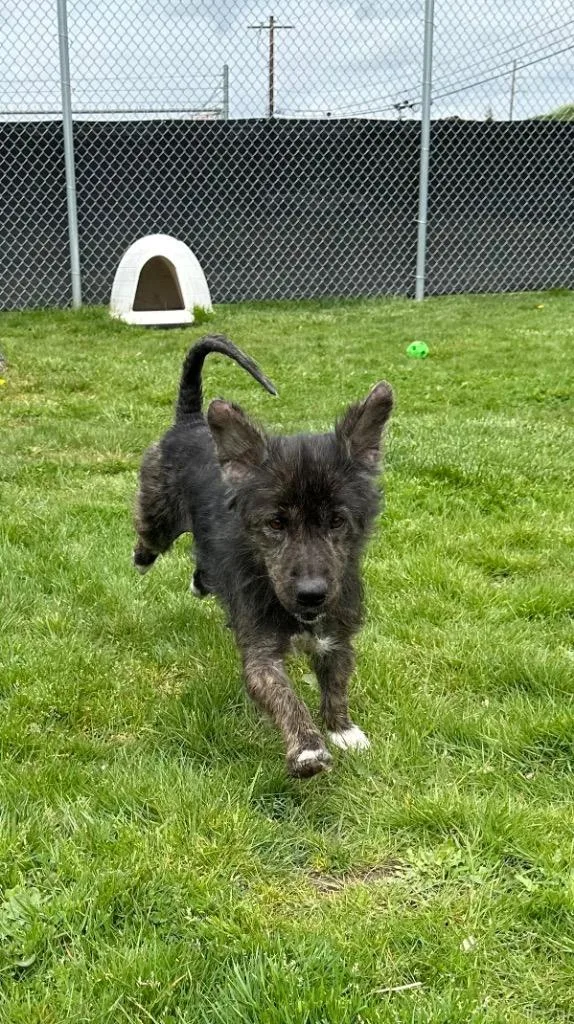 Sky  Sponsored By thumbnail 2