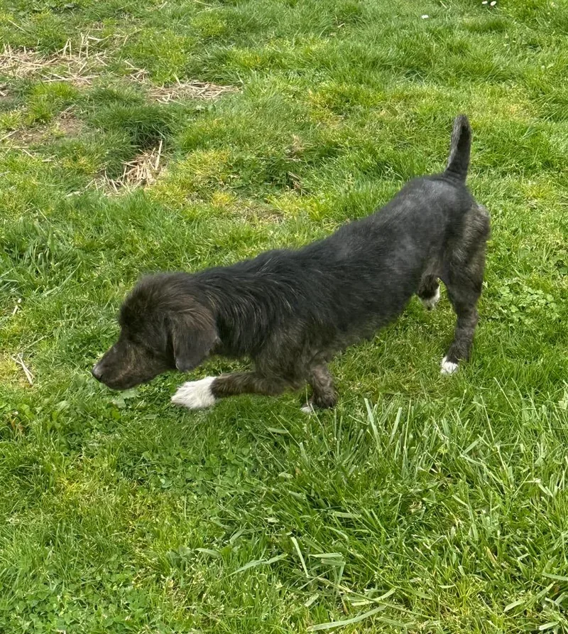 Sky  Sponsored By thumbnail 3