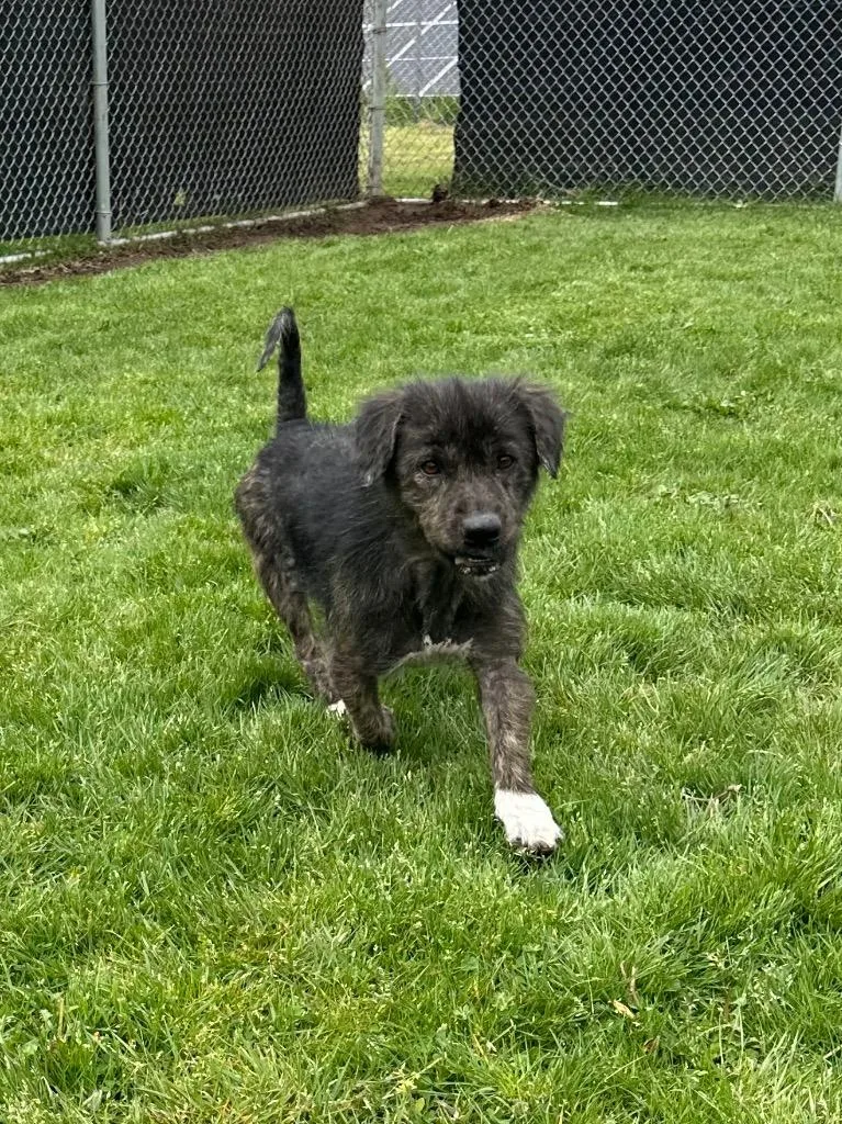 Sky  Sponsored By thumbnail 4