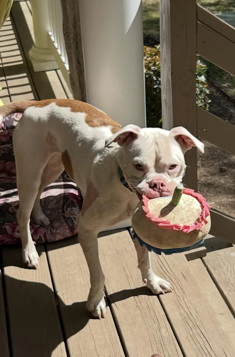 Betty White thumbnail 2