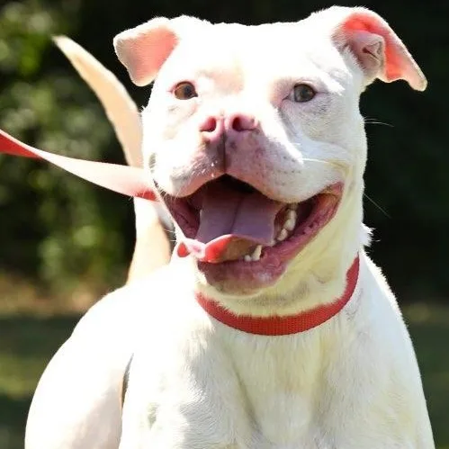 Betty White thumbnail 3