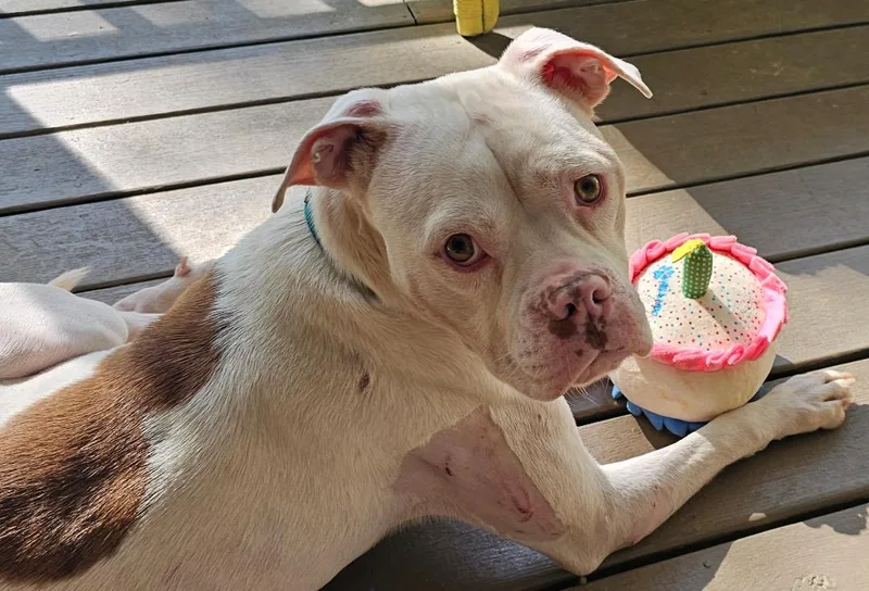 Betty White thumbnail 5