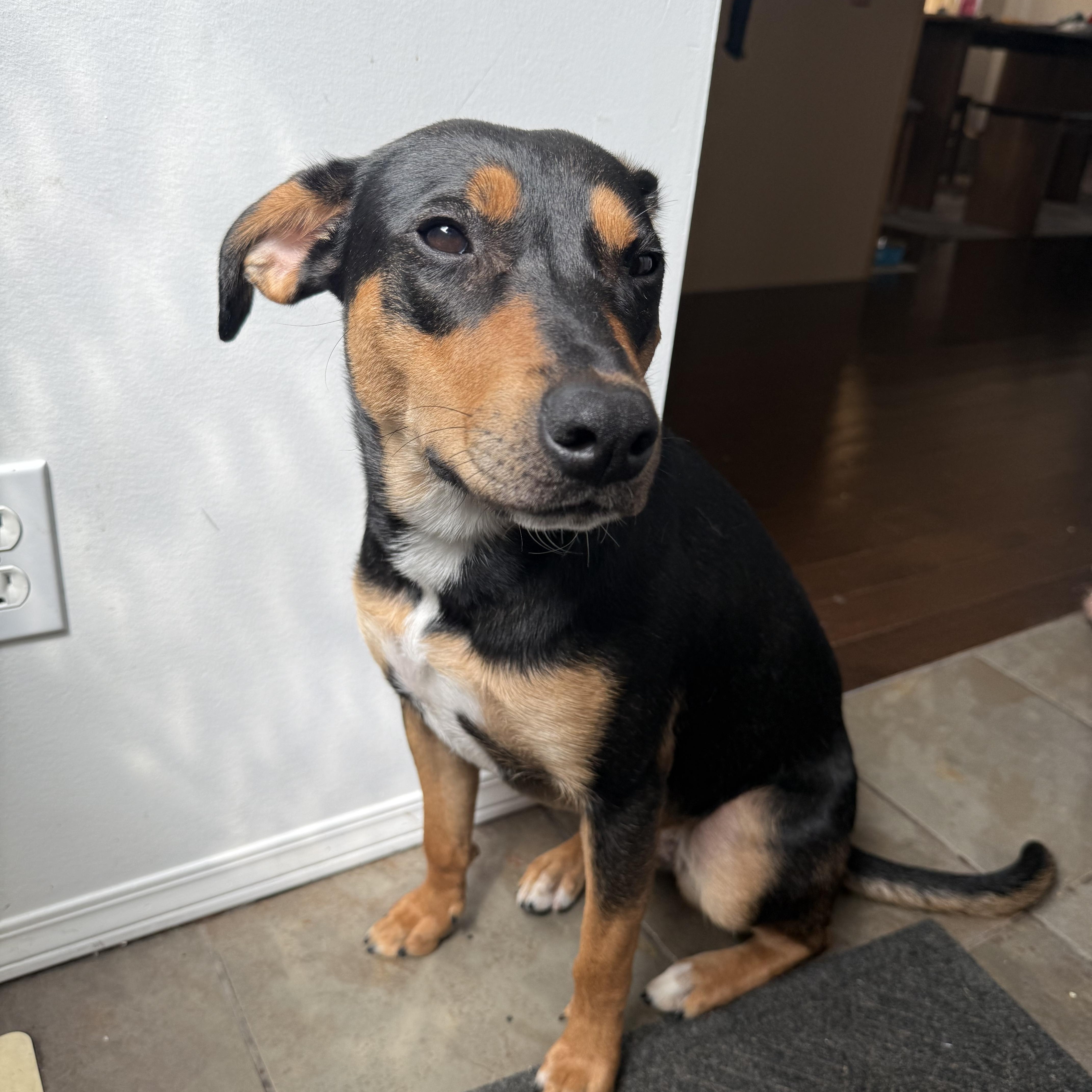 Avahaigneyyy thumbnail 3