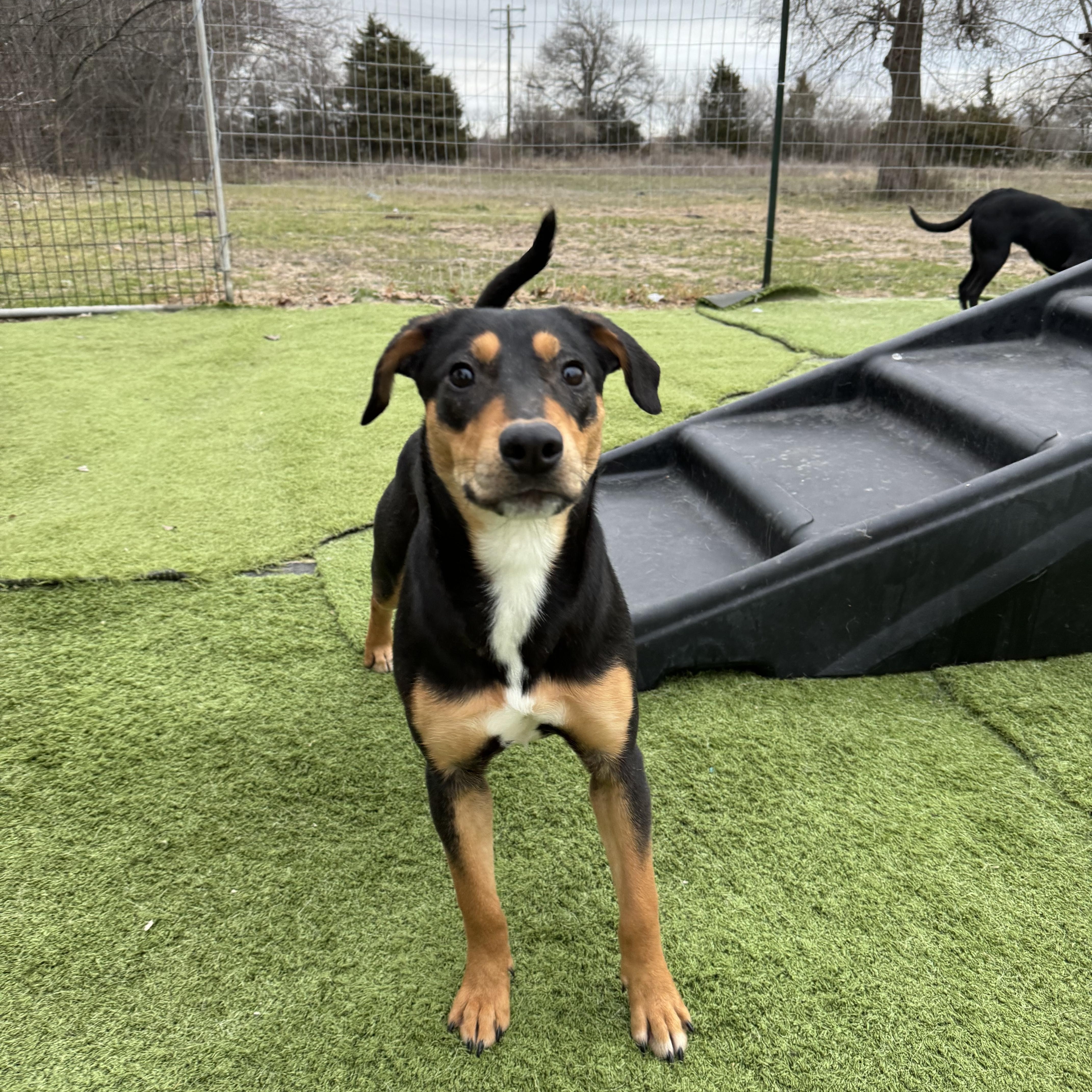 Avahaigneyyy thumbnail 4