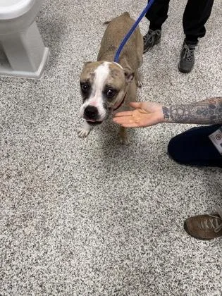 Bookmark thumbnail 2