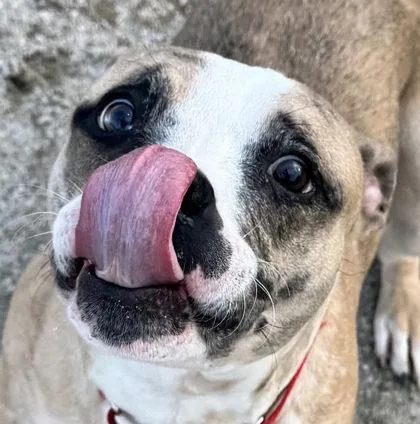 Bookmark thumbnail 3