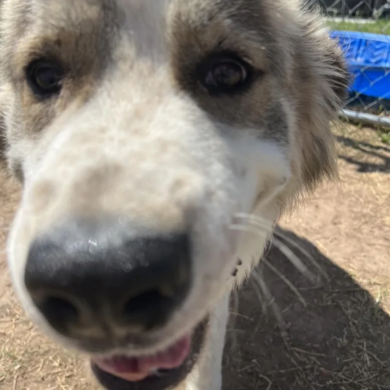 Tucker thumbnail 3