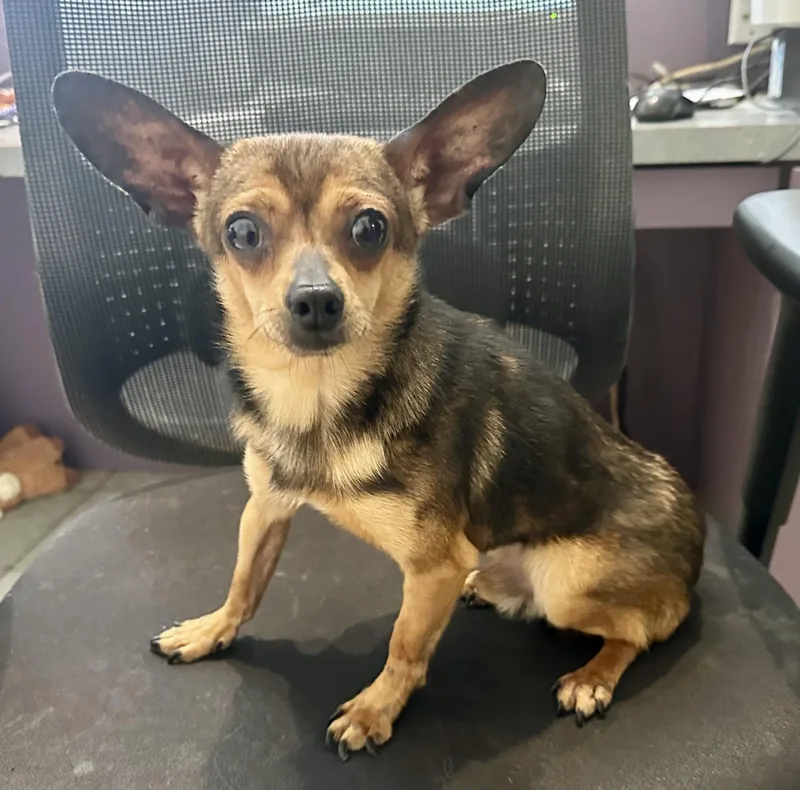 Whopping  Lbs!! thumbnail 2