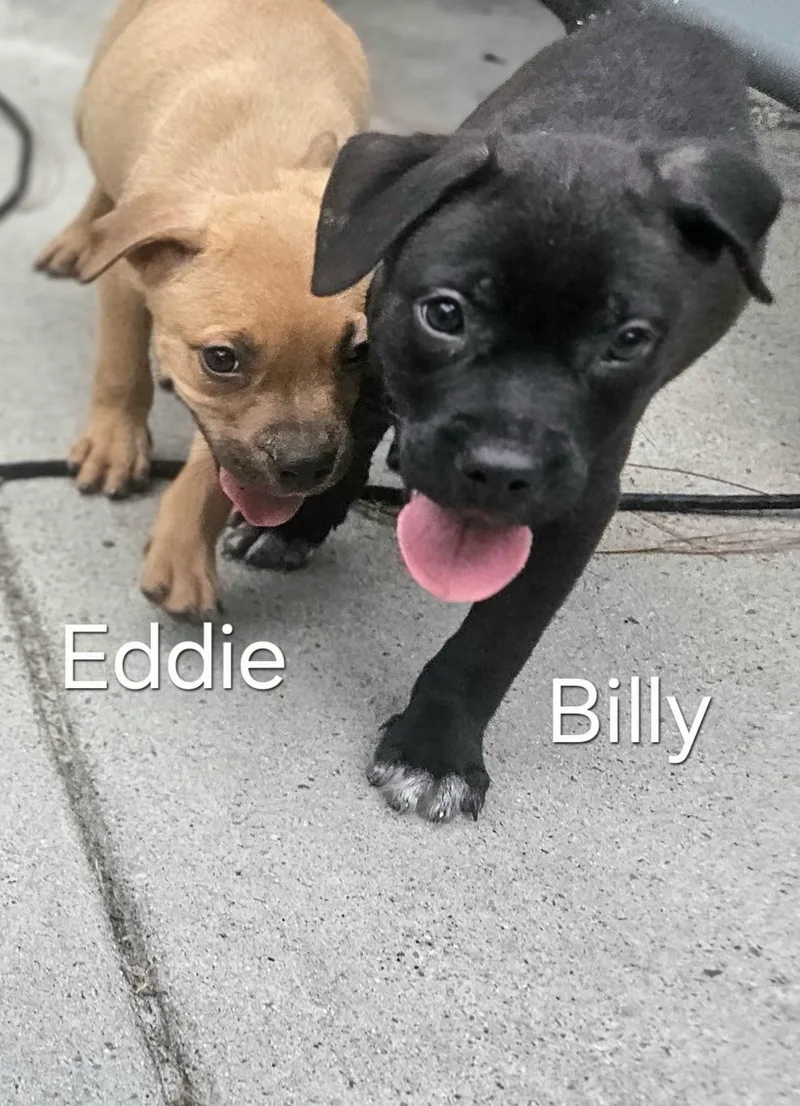 Billy
