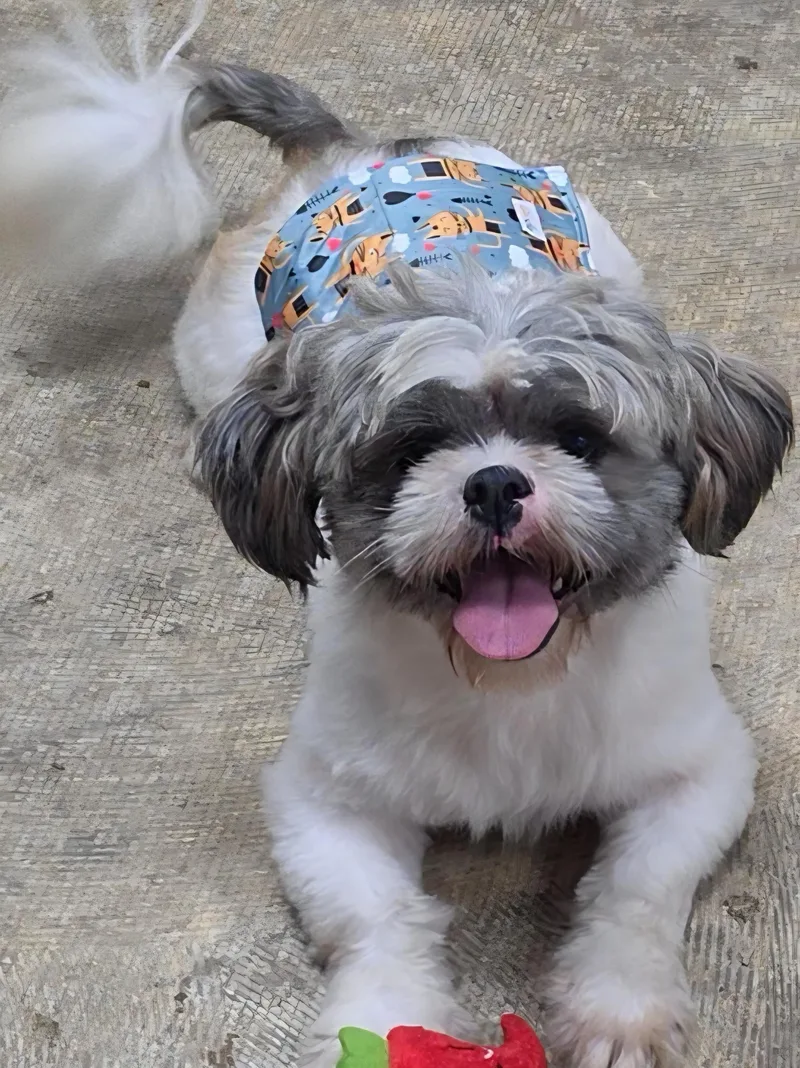 Edgar thumbnail 3