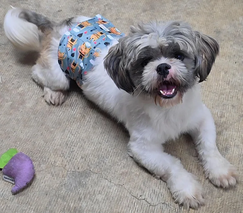 Edgar thumbnail 4