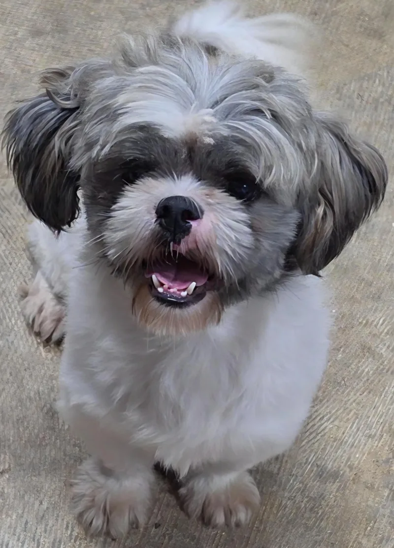 Edgar thumbnail 5