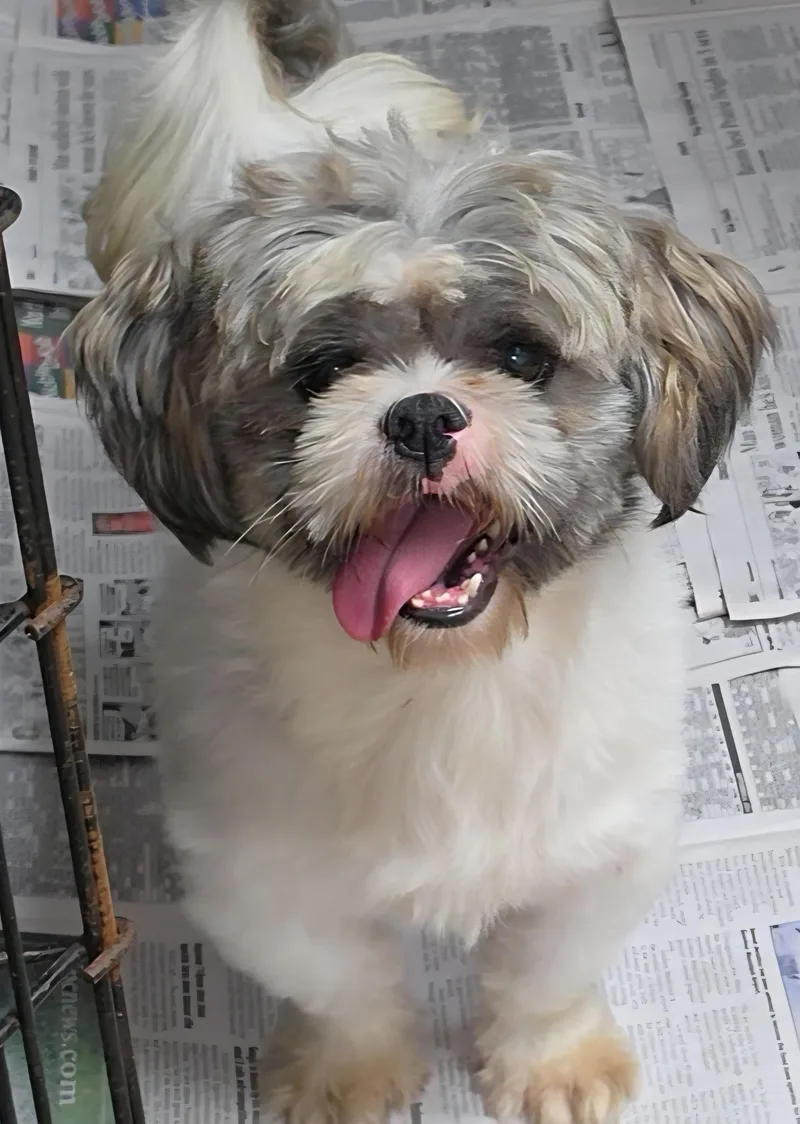 Edgar thumbnail 6