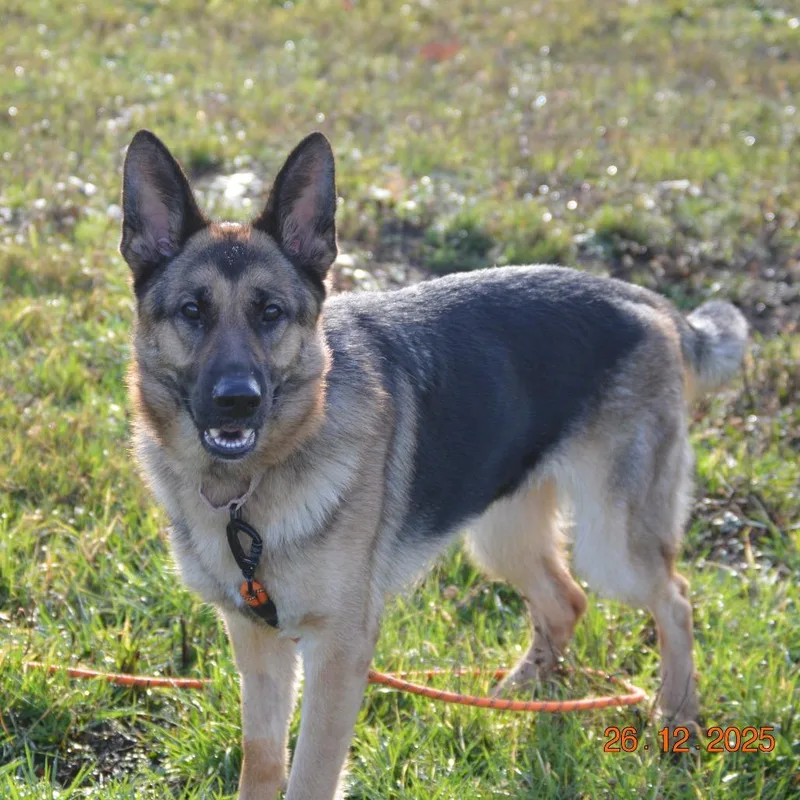 Gretchen thumbnail 3