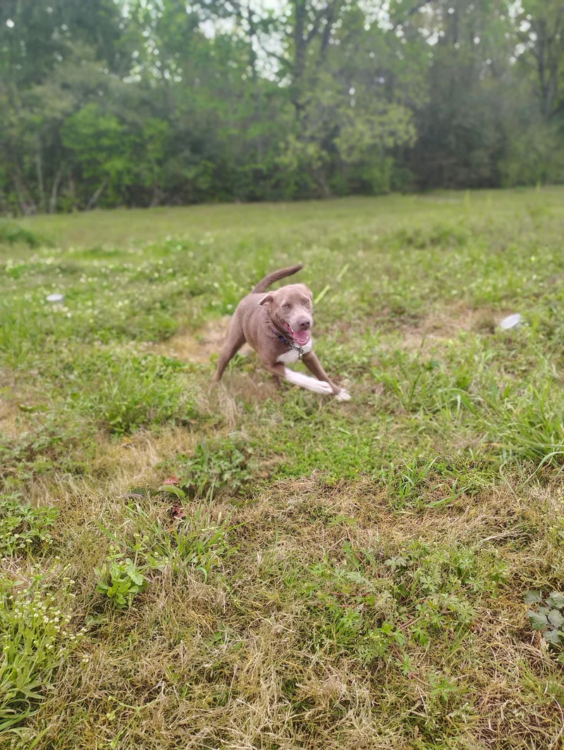 Daisy Mae thumbnail 2