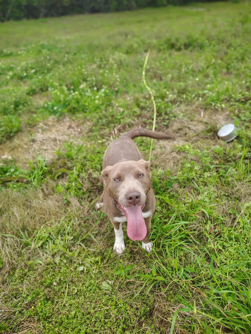 Daisy Mae thumbnail 3