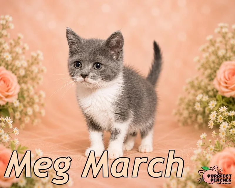Meg March