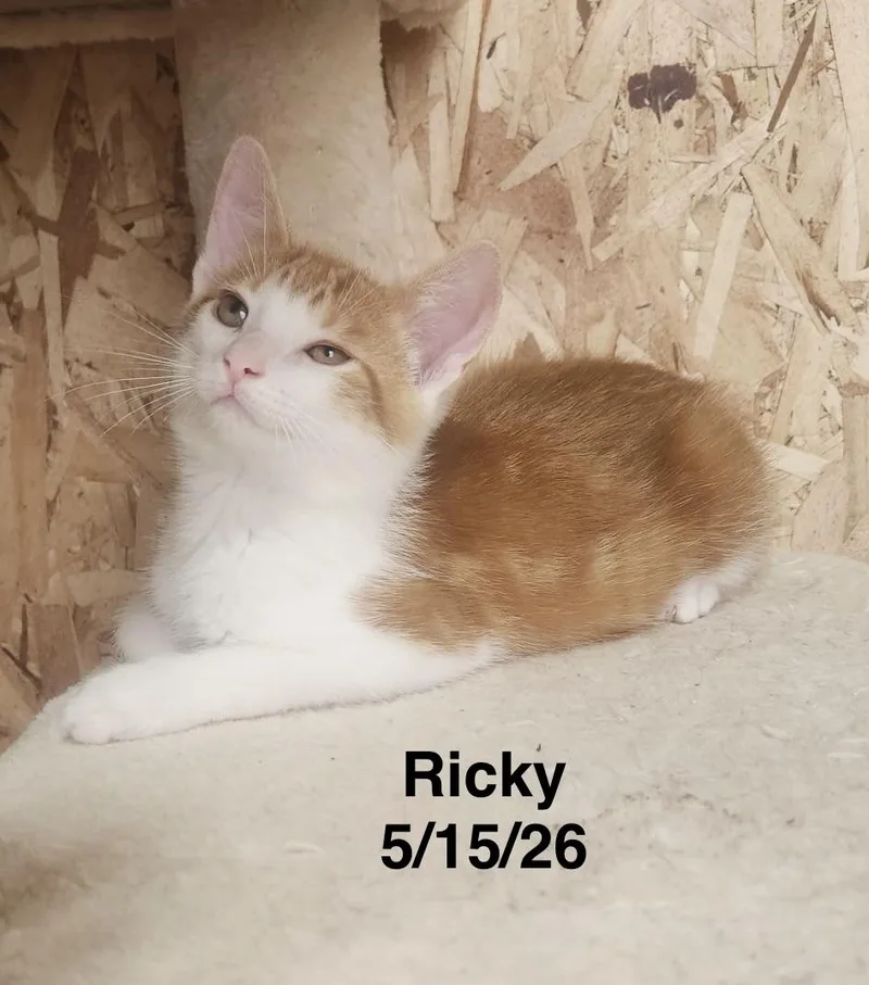Ricky