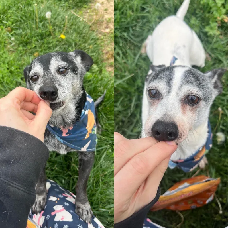 Pepsi & Snoopy thumbnail 6