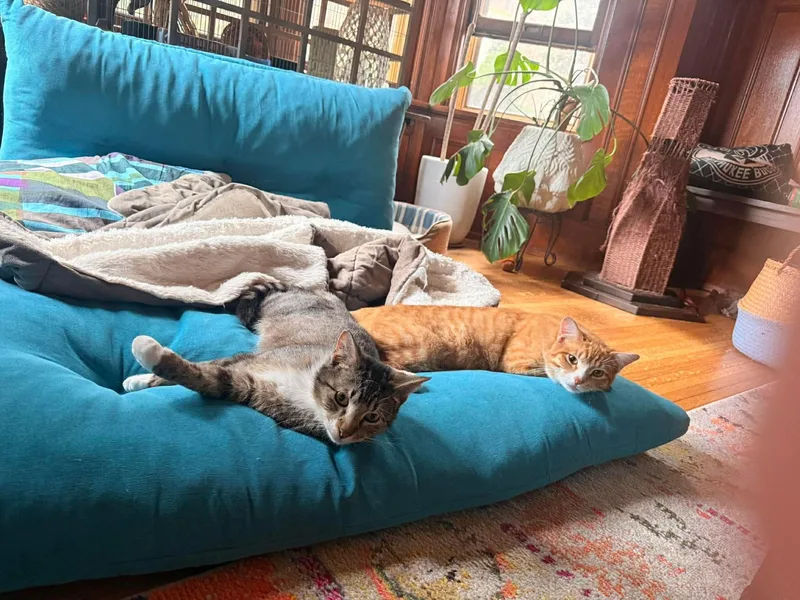 George And Bud thumbnail 3