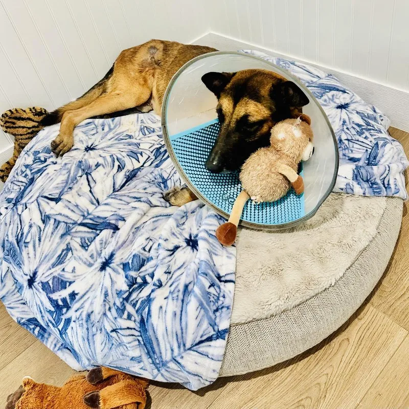 Happy Gilmore thumbnail 2