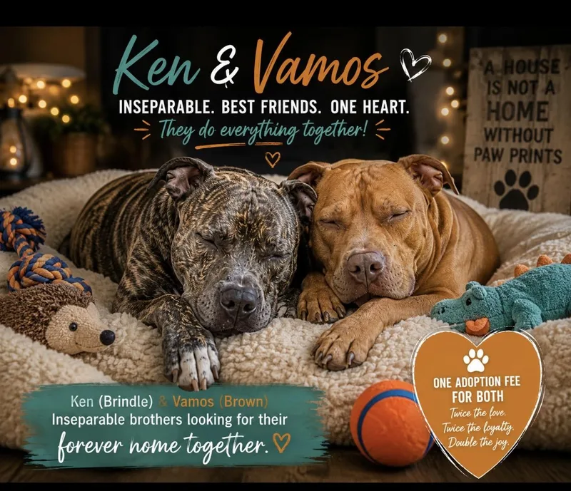 Vamos and Ken thumbnail 5