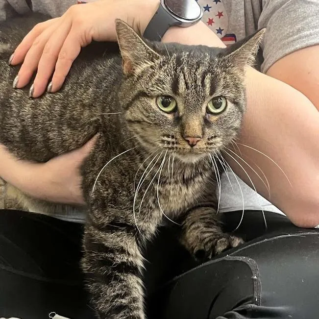 Mia