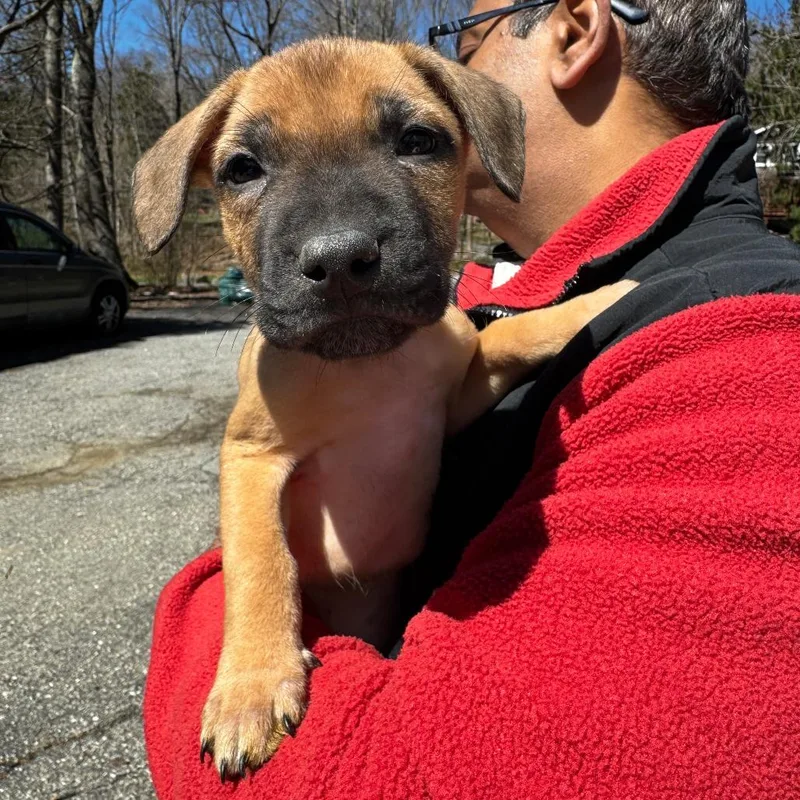 Ny Marvin Avail Apr thumbnail 2