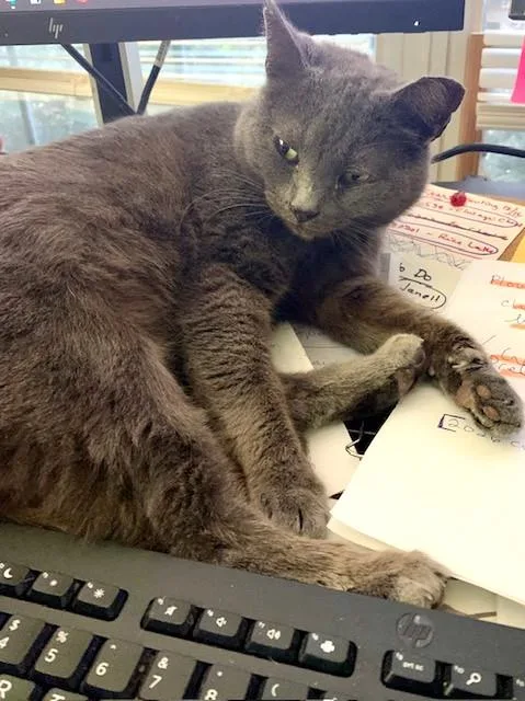 Mama Chloe thumbnail 2