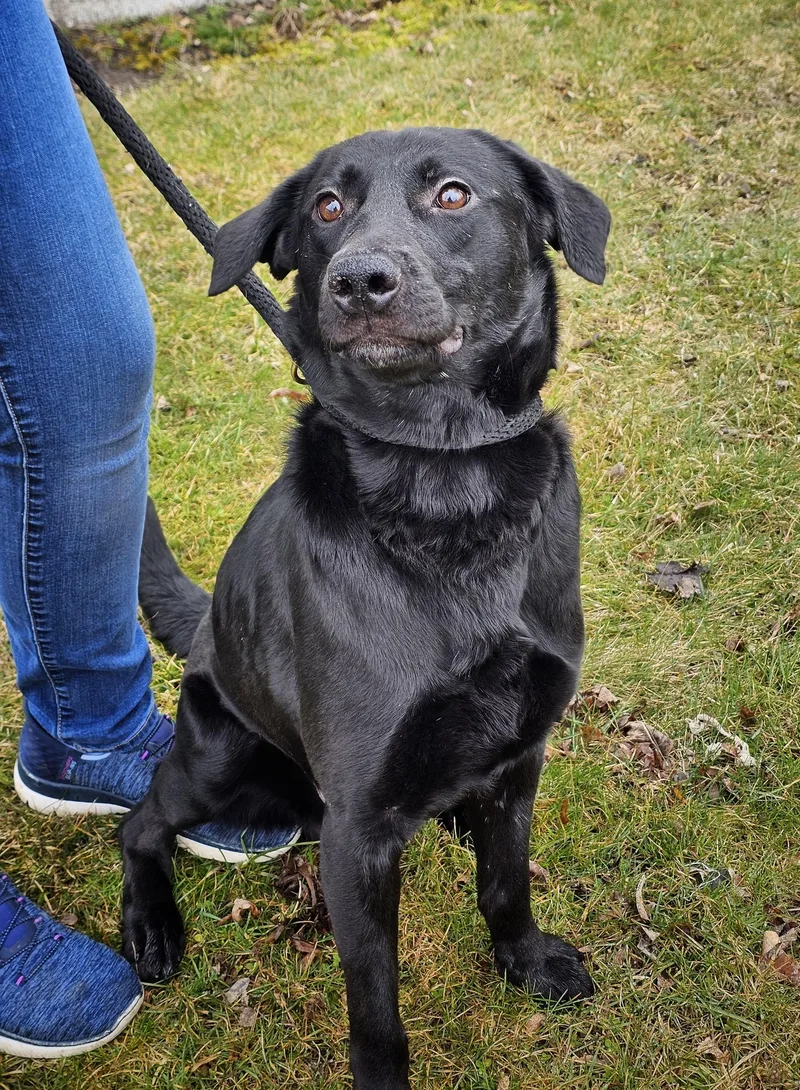 Hashbrown thumbnail 2