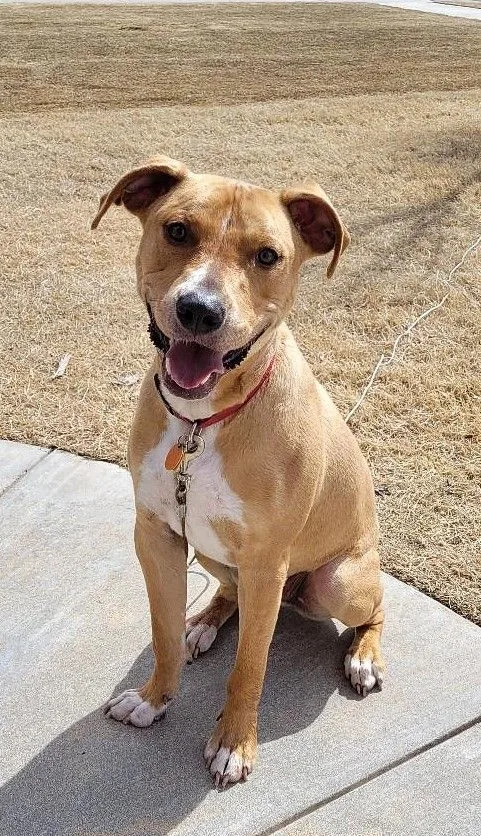 Rufus Lucas thumbnail 4