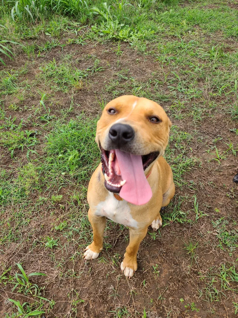 Rufus Lucas thumbnail 5