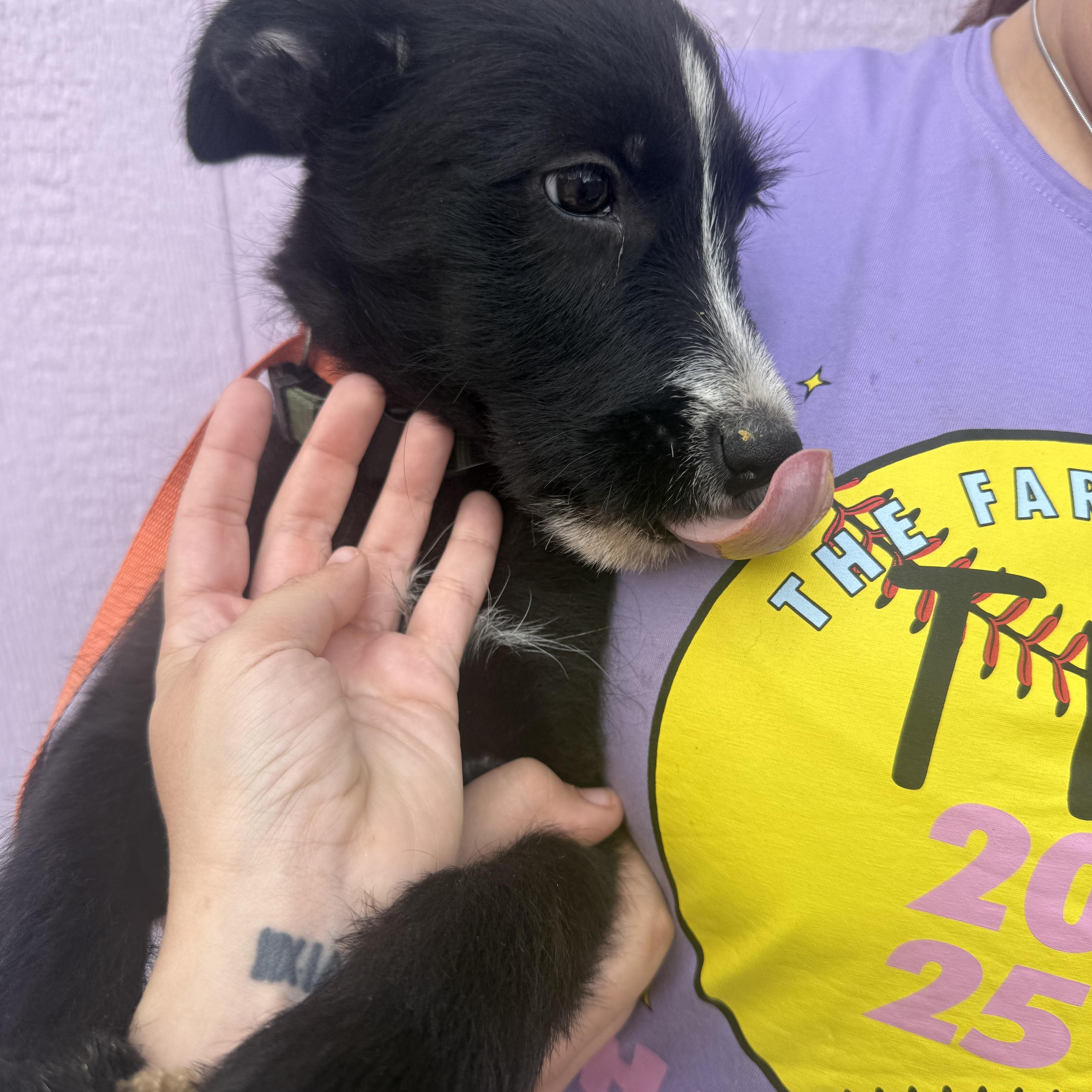 Loki thumbnail 3