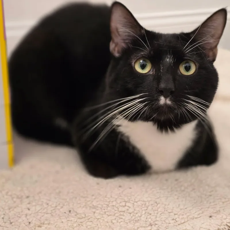 Peanut and Butter thumbnail 5
