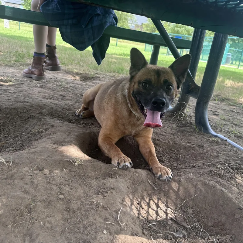 Jinjer Gdp thumbnail 2