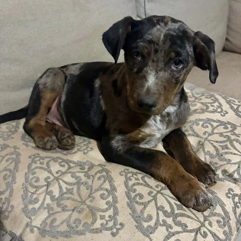 George O'malley thumbnail 2